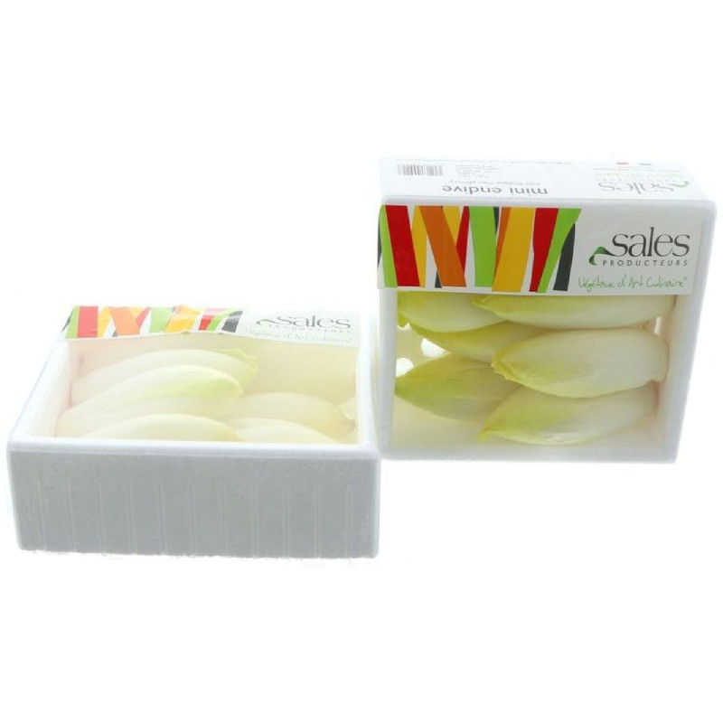 MINI CHICON ENDIVE SALES 4X250G
